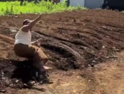 Dosen UIN Malang Guling-guling dalam Ribut Tetangga, Reaksi Kampus Terungkap