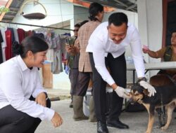 Cegah Rabies, Ratusan Anjing dan Kucing di Pelalawan Disuntik Vaksin – Update 1