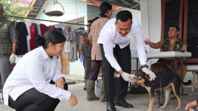 Cegah Rabies, Ratusan Anjing dan Kucing di Pelalawan Disuntik Vaksin – Update 1