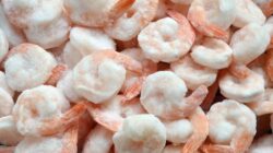 5 Fakta Mengejutkan Udang Beku Tercemar, Ini Hasil Uji yang Sebenarnya!