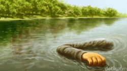 **Tragedi Curug Seribu: Jasad Pria Tenggelam Nyangkut di Batu, Dievakuasi Pagi Ini**