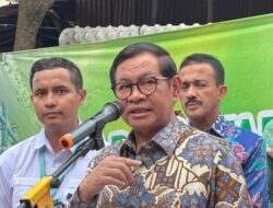 Gubernur DKI Pramono Anung Usulkan Solar Panel untuk Hemat Listrik di Pertanian Vertikal