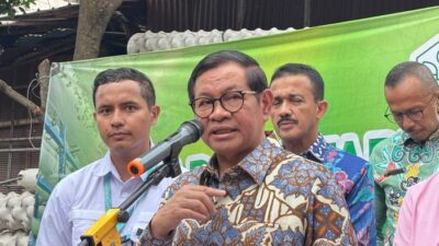 Gubernur DKI Pramono Anung Usulkan Solar Panel untuk Hemat Listrik di Pertanian Vertikal