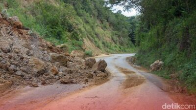 Longsor di Kelok 9, Akses Riau-Sumbar Putus Malam Ini: Bencana Menyambar, Siapa yang Bertanggung Jawab?