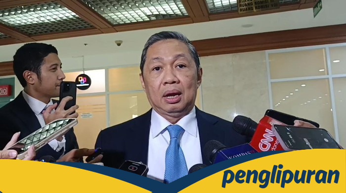 Wamenlu Anis Matta: Prabowo Akan Umumkan Bantuan Baru untuk Palestina di PBB