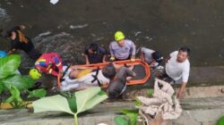 Damkar Bogor Evakuasi Pria Nyebur ke Sungai Ciparigi saat Beri Makan Ayam, Indra (53) Selamat Setelah Kejadian Mengerikan