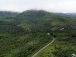 Menanti Jalan Ekonomi Hijau yang Demokratis: Apakah Masa Depan Sudah di Depan Mata?