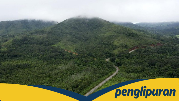 Menanti Jalan Ekonomi Hijau yang Demokratis: Apakah Masa Depan Sudah di Depan Mata?