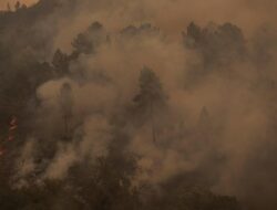 1.640 Hektar Hutan Spanyol Terbakar, Cuaca Panas Jadi Penyebab Utama!