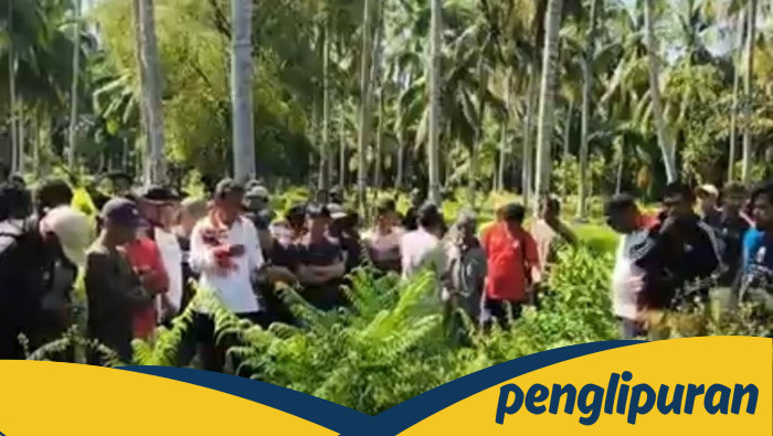 Meninggalnya Pegawai Koperasi di Sulbar Usai Tagih Kredit: Tragedi yang Mengguncangkan Masyarakat