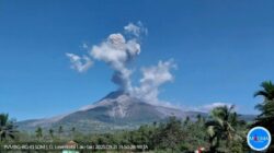 Gunung Lewotobi Laki-laki Membuat Heboh dengan Abu Vulkanik 2,5 Km!