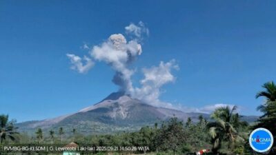 Gunung Lewotobi Laki-laki Membuat Heboh dengan Abu Vulkanik 2,5 Km!