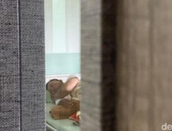 Ojol di Pontianak Patah Hidung, TNI Oknum Diduga Lakukan Tindakan Kekerasan!