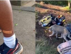 15 Pendaki Gunung di Bali Digigit Anjing Liar, Suntik Anti Rabies Jadi Solusi Darurat!
