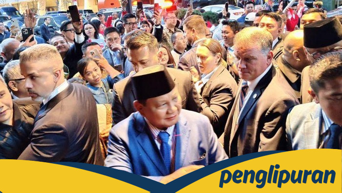 Prabowo Siap Turun Atas Palestina, Apakah Indonesia Akan Gugat Resolusi PBB?