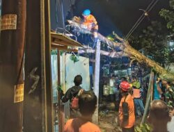 Hujan dan Angin Kencang, Pohon Tumbang Timpa Rumah-Tutup Jalan di Bogor – Update 1