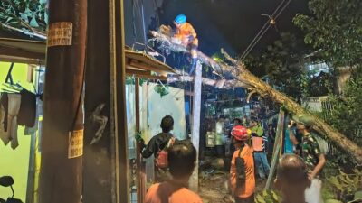 Hujan dan Angin Kencang, Pohon Tumbang Timpa Rumah-Tutup Jalan di Bogor – Update 1