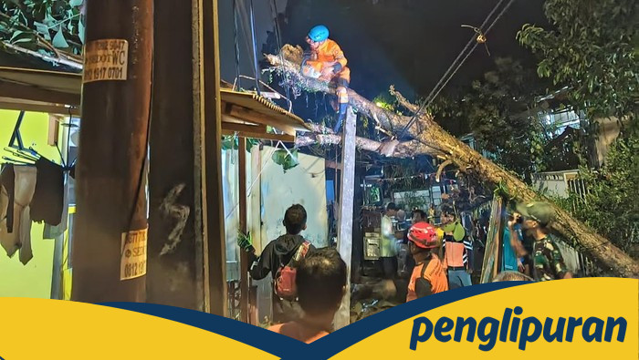 Hujan dan Angin Kencang, Pohon Tumbang Timpa Rumah-Tutup Jalan di Bogor - Update 1