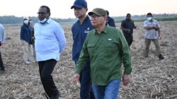 Riset dan Usaha Tebu, Mentrans Ajak Perkebunan Besar!