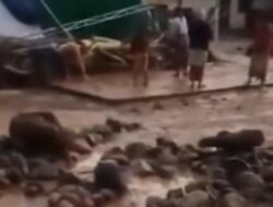 Banjir Bandang OKU Selatan: Tragedi 3 Orang Hilang dan 3 Rumah Hilang dalam Sekejap