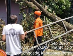 75 Rumah Warga Bojonggede Bogor Rusak Imbas Pohon Tumbang-Angin Kencang: Bencana Alam Atau Kelemahan Infrastruktur?