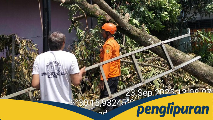75 Rumah Warga Bojonggede Bogor Rusak Imbas Pohon Tumbang-Angin Kencang: Bencana Alam Atau Kelemahan Infrastruktur?
