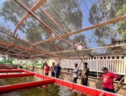 [Densus 88 Mengajak Eks Napiter Jadi Pahlawan Pertanian]