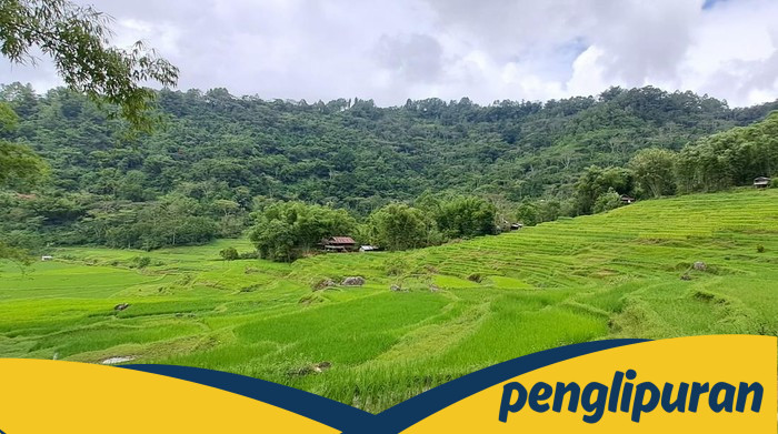 Hari Tani di Tengah Krisis Agraria: Apakah Petani Tetap Diutamakan?