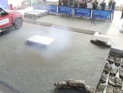 “Cara Gila China Bantu Mobil Listrik Tetap Aman dari Kebakaran”