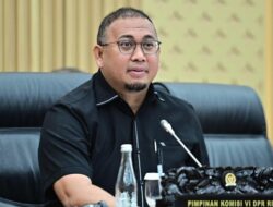 Ketua Panja: RUU BUMN Belum Selesai, Paripurna Tunda!