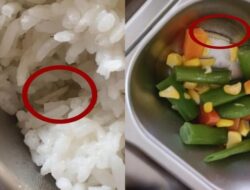 **Heboh Ada Ulat di Menu MBG SMK Jambi**, Kepsek Terkejut!