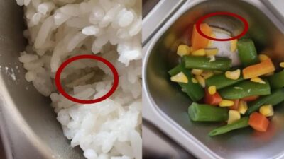 **Heboh Ada Ulat di Menu MBG SMK Jambi**, Kepsek Terkejut!