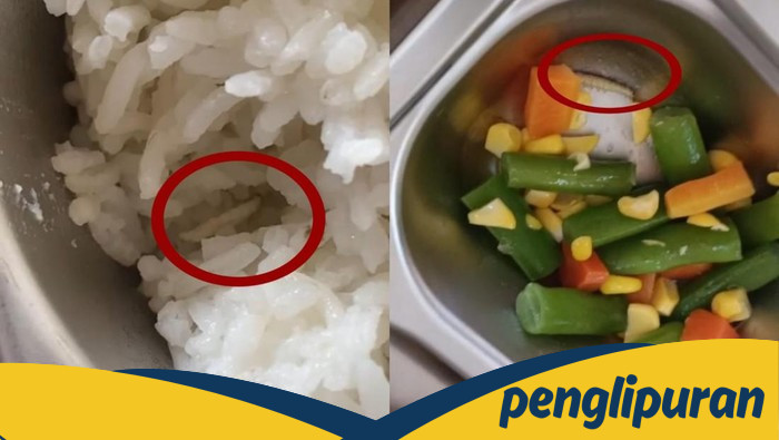 **Heboh Ada Ulat di Menu MBG SMK Jambi**, Kepsek Terkejut!