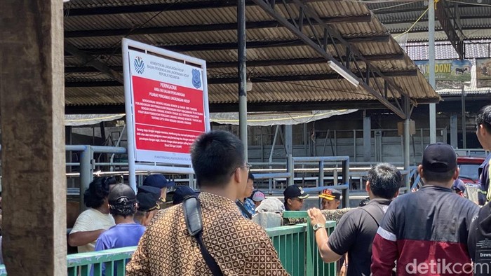 Depok Guncang Krisis, Kandang dan Rumah Potong Hewan Diduga Cemari 2 Setu, Ditangguhkan!
