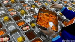 Ribuan Anak Terkena Keracunan Makan Bergizi Gratis, Inilah Peringatan Para Ahli yang Harus Anda Dengar