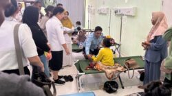 Pakar Kesehatan Peringatkan Bahaya Konsumsi Daging Hiu, Sebabkan Keracunan pada Siswa di Kalbar