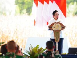 Kapolri dan Ketua Komisi IV Bersatu Dukung Ketahanan Pangan, Hadiri Panen Raya Polri!