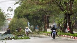 Badai Bualoi Terjang Vietnam, 11 Orang Tewas – Update 1