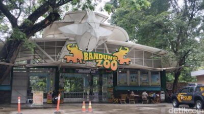 Pemkot Bandung Terancam Tutup Bandung Zoo Akibat Polemik Dualisme Pengelola