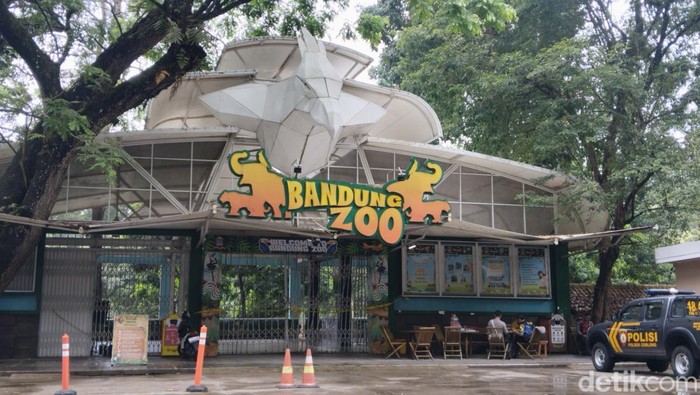 Pemkot Bandung Terancam Tutup Bandung Zoo Akibat Polemik Dualisme Pengelola