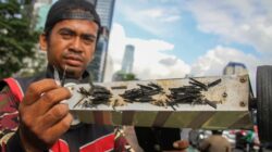 Ketakutan Relawan Saber Ranjau Ditangkap Pria Bawa Bambu di Jaktim