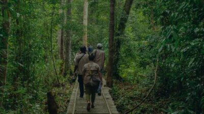 Rimba Raya: Proyek REDD+ Pertama di Dunia yang Tervalidasi 17 SDGs dan Restorasi Hutan yang Menakjubkan