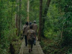 Rimba Raya: Proyek REDD+ Pertama di Dunia yang Tervalidasi 17 SDGs dan Restorasi Hutan yang Menakjubkan
