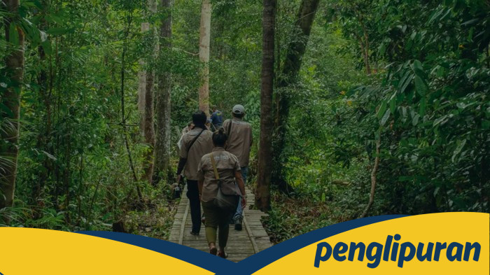 Rimba Raya: Proyek REDD+ Pertama di Dunia yang Tervalidasi 17 SDGs dan Restorasi Hutan yang Menakjubkan