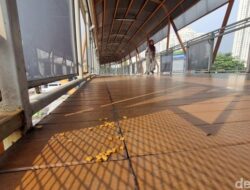 “Banyak Kotoran Kucing Di Skywalk Kebayoran, PSI Usulkan Solusi Lokasi Makan Khusus”