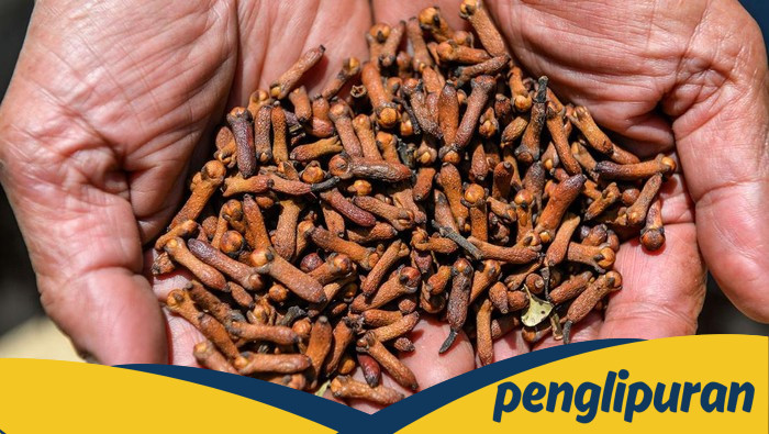 Cengkeh Indonesia Terancam: FDA Temukan Radioaktif Cs-137, Sumber Kontaminasi Apakah Ini?