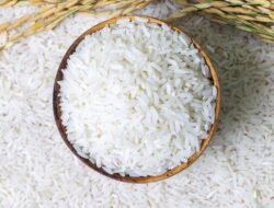 “Dari Swasembada ke Meja Rakyat: Orkestrasi Pangan Nasional yang Menyelamatkan Masa Depan!”