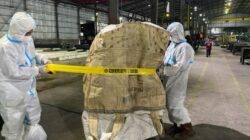 9 Warga Cikande Terpapar, Cesium-137: Ancaman Bersembunyi di dalam Tubuh!