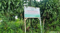 Warga Terancam Kehilangan Tanah, 2 Desa di Sukamakmur Bogor Dilelang!