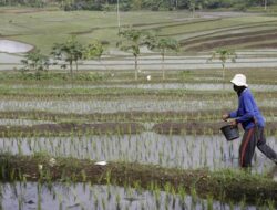 SPI: DPR Wajib Cepat Tangani Konflik Agraria, Libatkan Petani!